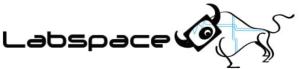 Labspace Logo and Bull